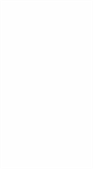 Mobile Screenshot of boneswimmer.it